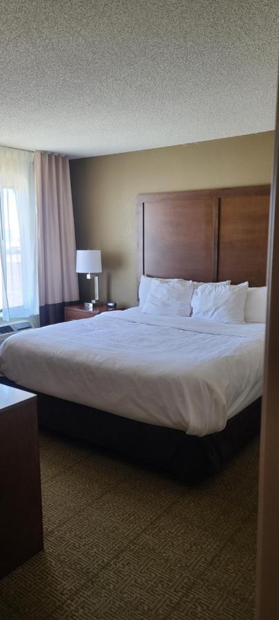 Comfort Inn Λέξινγκτον Εξωτερικό φωτογραφία
