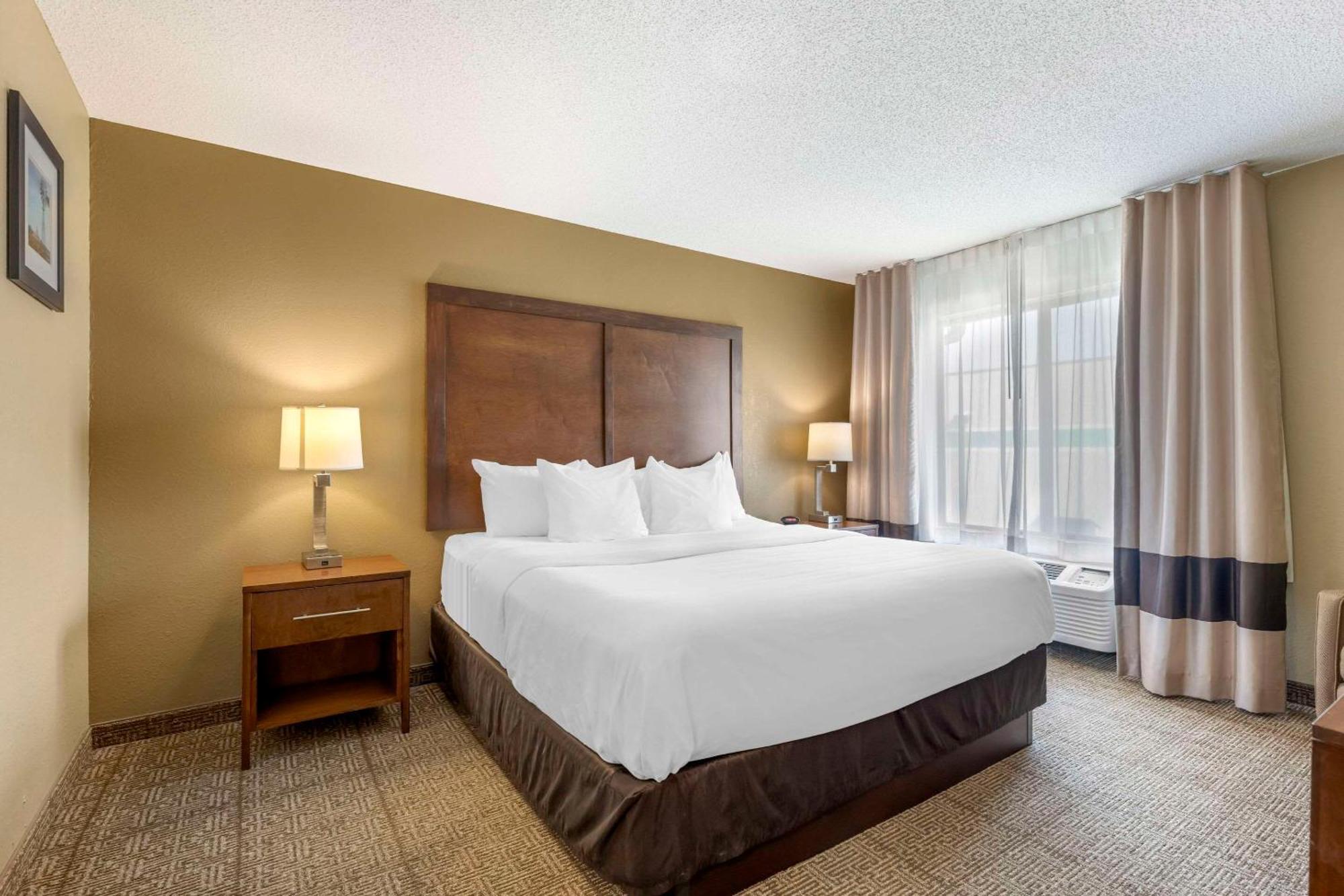Comfort Inn Λέξινγκτον Εξωτερικό φωτογραφία